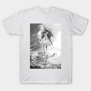 Avocet T-Shirt